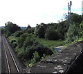 Trackside telecoms mast in Caerleon