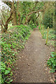 Footpath near Horson Field