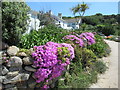 SV9010 : Cottages and flowers, Buzza Road, Scilly by Roy Hughes