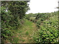 Llwybr ceffyl ger Cromlech Lodge / Bridleway near Cromlech Lodge