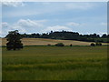 Farmland near Faringdon