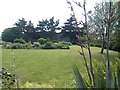 Gun Cliff Gardens, Exmouth from the hill above