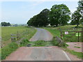 Fenced and cattle gridded minor road heading towards Fallburn and the A73