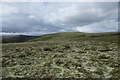 NJ2718 : Cladonia lichens west of Dun Muir by Alan O'Dowd