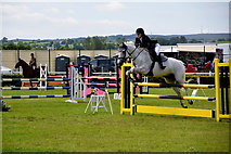 H4374 : Horse jumping - 179th Omagh Annual Agricultural Show 2019 by Kenneth  Allen