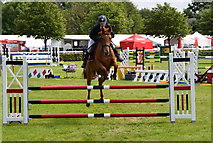 H4374 : Horse jumping - 179th Omagh Annual Agricultural Show 2019 by Kenneth  Allen