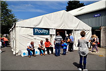H4374 : Poultry marquee - 179th Omagh Annual Agricultural Show 2019 by Kenneth  Allen