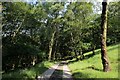 Concrete Access Lane in Stoodley Clough