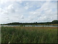 One of nine lakes lying between the A63 and the old railway