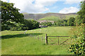 A field of sheep near Ormathwaite