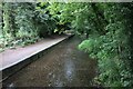 The River Avon, Pewsey