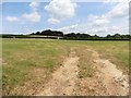 Fields, south of Stoke Rivers