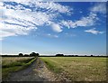 Farmland north of Baulking Grange: Sheephouse Leaze