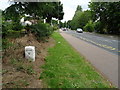 High Road (A121) towards Epping