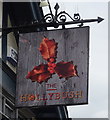 Sign for the Hollybush, Loughton