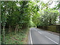 Debden Lane towards Theydon Bois