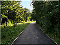 Path alongside the Railway, Sankey Valley Park