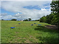 A field, and sheep feeders, looking towards Kingstreet