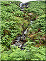 Waterfall, Allt na Caorach