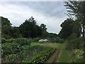 TM0848 : Allotments in Somersham by Chris Holifield