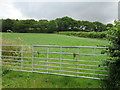 Gate into field