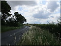 Road alongside Weaveley Wood