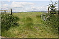 SD8653 : Looking north through field gate from minor road west of Swinden Moor Head by Roger Templeman