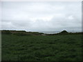 Fields above Boyne Bay