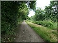 Nottingham Canal, north of Tinsley Road