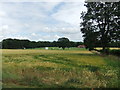 Cricket ground, Malton