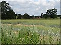 View to Aston Hall