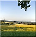 Farmland at High Habberley