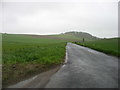 The lane heading for Muir of Fowlis