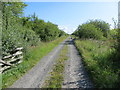 Tree-lined track leading to North Drummoddie