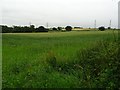 SJ6901 : Farmland beside Coalport Road by Philip Halling