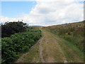 SS8287 : Llwybr i Fynydd Margam / Path to Mynydd Margam by Alan Richards