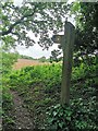 Footpath Sign, Boreham Lane