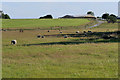 Grazing Land off Birchley Road