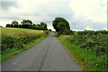 H4178 : Castletown Road, Killinure by Kenneth  Allen