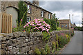 Floral Display on Pasture Road, Embsay