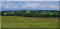 Meadow near Maesgwynne Farm