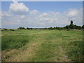 Grass field by the River Witham at Barkston