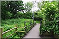 Footbridge over Laughern Brook, St. John