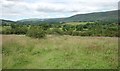 Red Moss grassland