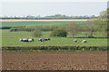 Mixed farmland near Haddenham