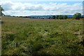 Field beside Barrs Road