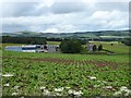 Looking across the fields to Duns Law Farm