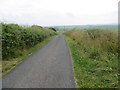 Hedge-lined minor road near to Corhulloch Cottage