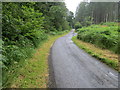 Tree-lined minor road near to Bardrochwood