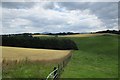 Undulating farmland near Lanark